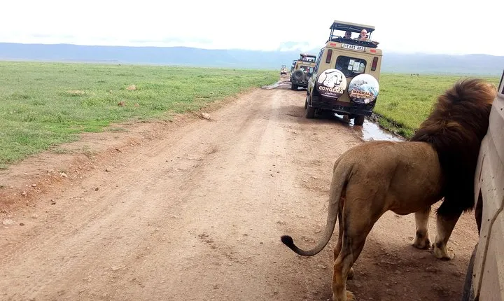 5-Day Classic Lodge Safari: Manyara, Serengeti & Ngorongoro