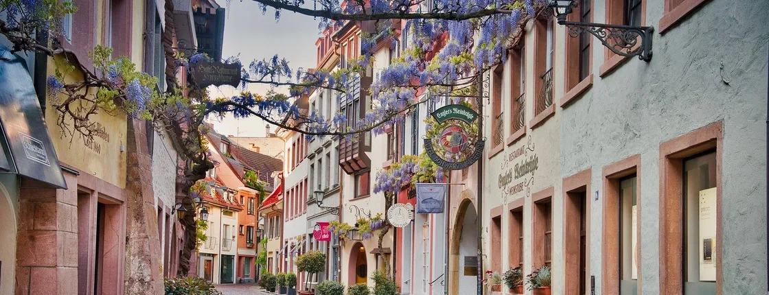 Photogenic Freiburg walking tour with a Local