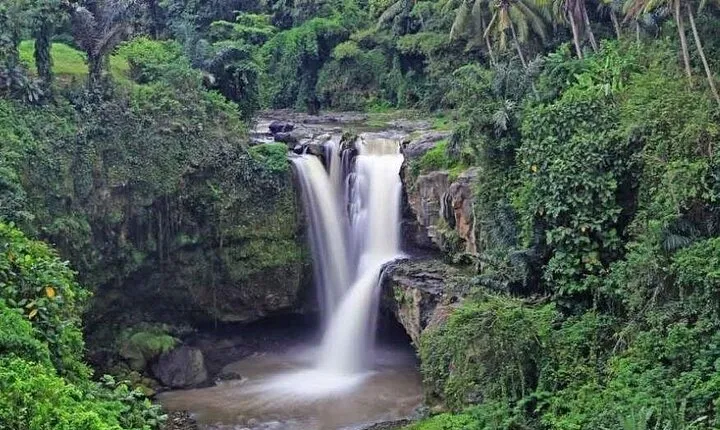 Ubud Private Day Tour: Temples, Rice Terraces & Waterfalls