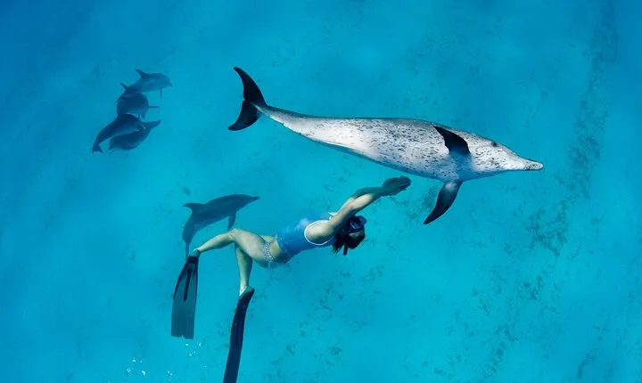 Private Dolphin House with Parasailing & Water Activity-Hurgahda