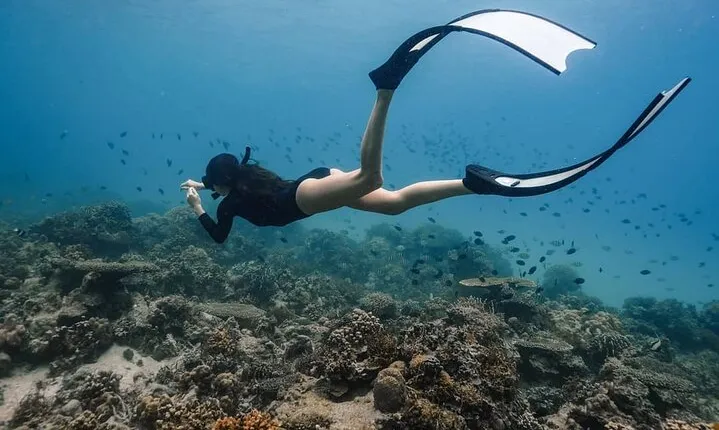 Coron Shipwrecks and Lusong Coral Garden tour (Private / Shared)