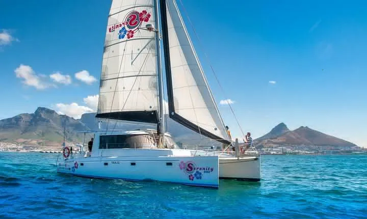 Sailing in The Bay by Catamaran (One Hour)
