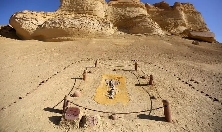 Private Tour Whales Valley And Wadi El Rayan Waterfalls In El Fayoum From Cairo