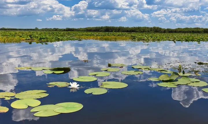 Danube Delta - 2-Days Shared Tour from Bucharest