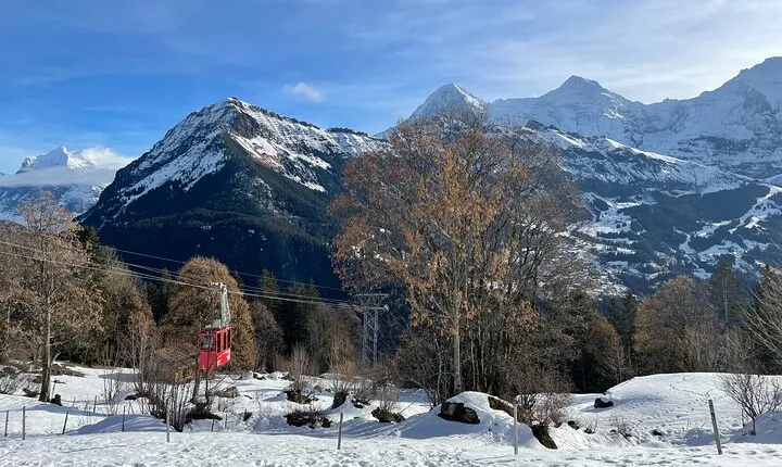 Best of Bernese Oberland & Swiss Countryside (Private Tour)
