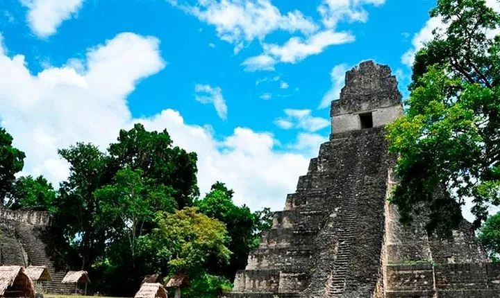 Tikal with Private Guide and Transportation from Flores