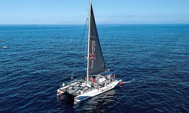 3-hour Whale and Dolphin Watching and Listening Tour