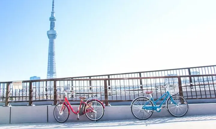 [electric bicycle tour]: 6-hour travel course by electric bicycle Asakusa, Ueno Park, Edo-Tokyo Museum, and Sky Tree. (There is a support car.)