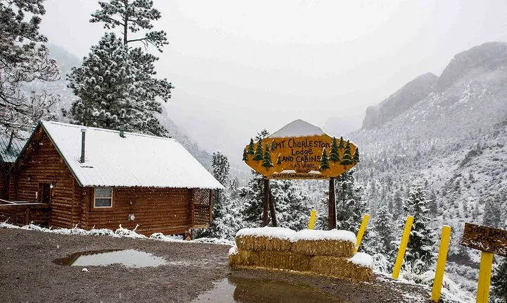 Mount Charleston Tour