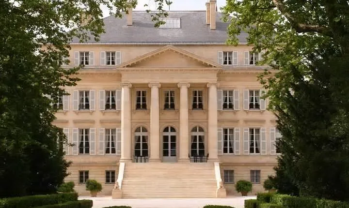 Half-Day Wine Tour in Margaux
