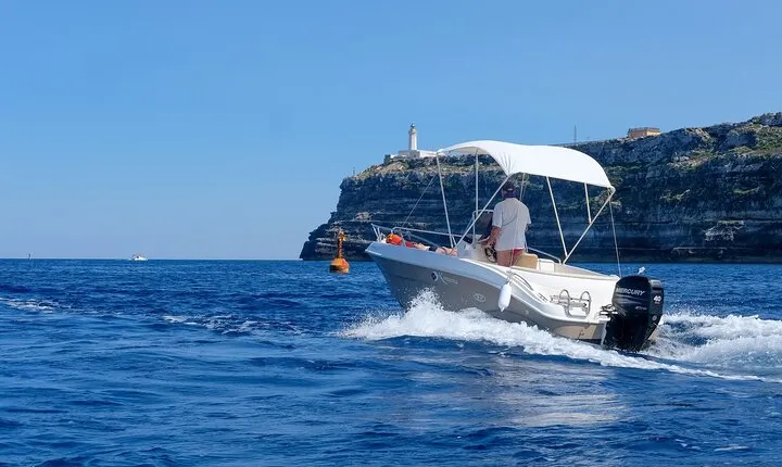 Enjoy panoramic BOAT and CITY HALF DAY tour