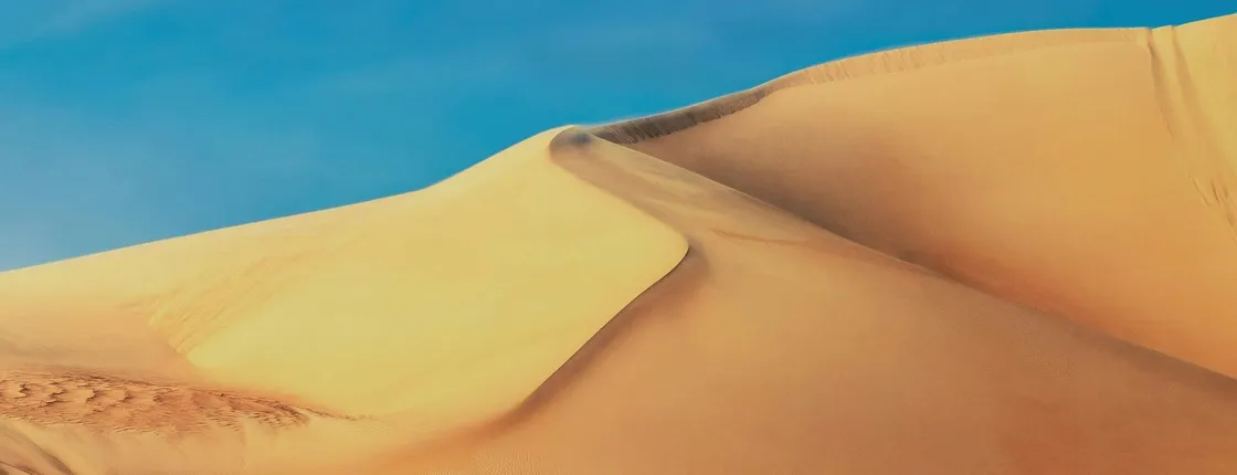 Siwa Oasis day trip from El-Alamain with local lunch