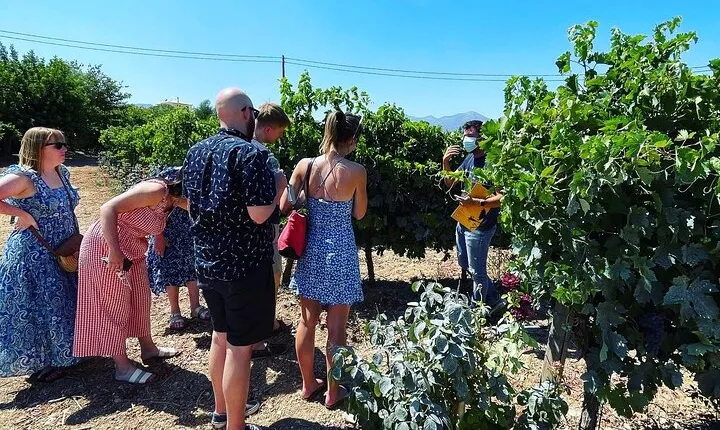 Athens Wine Tour with Wine Expert