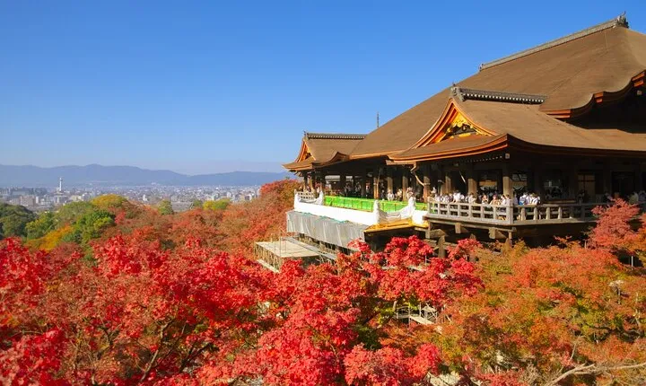 A Tour to Explore Kyoto's Autumn Foliage at Kiyomizu-dera Temple
