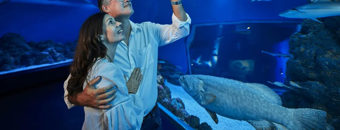 Cairns Aquarium Twilight guided tour with three course dinner