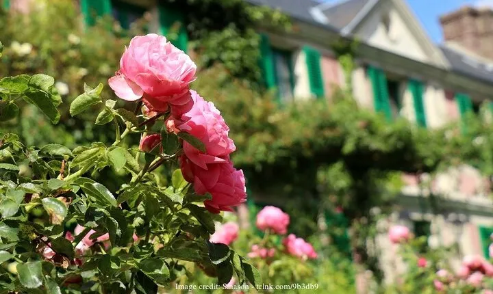 Visit Claude Monet's House: Giverny Private Day Trip from Paris