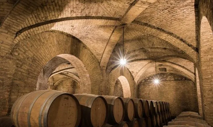 Private San Antonio, Visit Carolina Winery & Transfer to Hotel