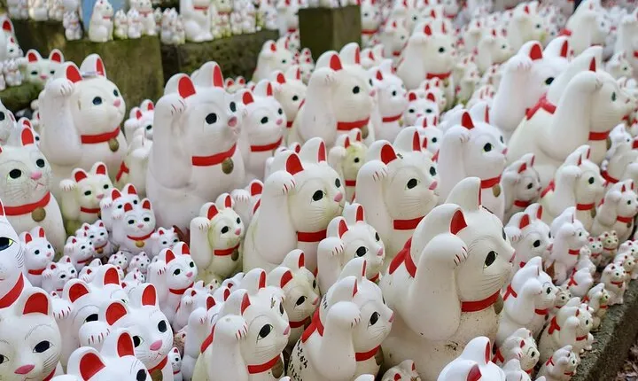 Private Tour - Thousands of lucky cats! Go by tram, Gotokuji Tour