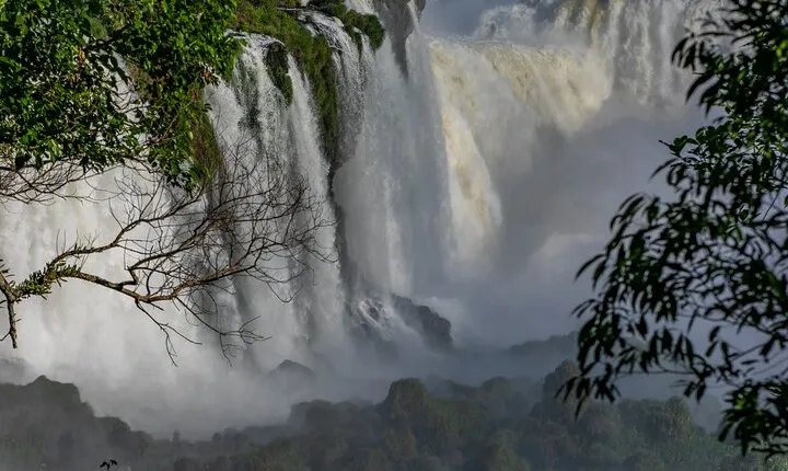 Iguassu Falls Brazilian Side & Bird Park & Macuco - Exclusive Gran Meliá Iguazú