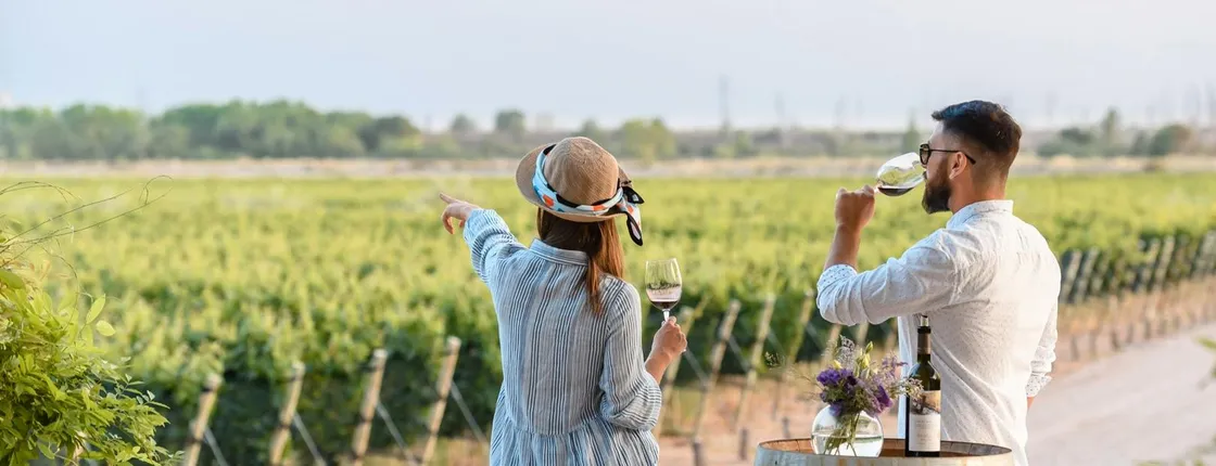 Mendoza vineyards tour with wine tasting
