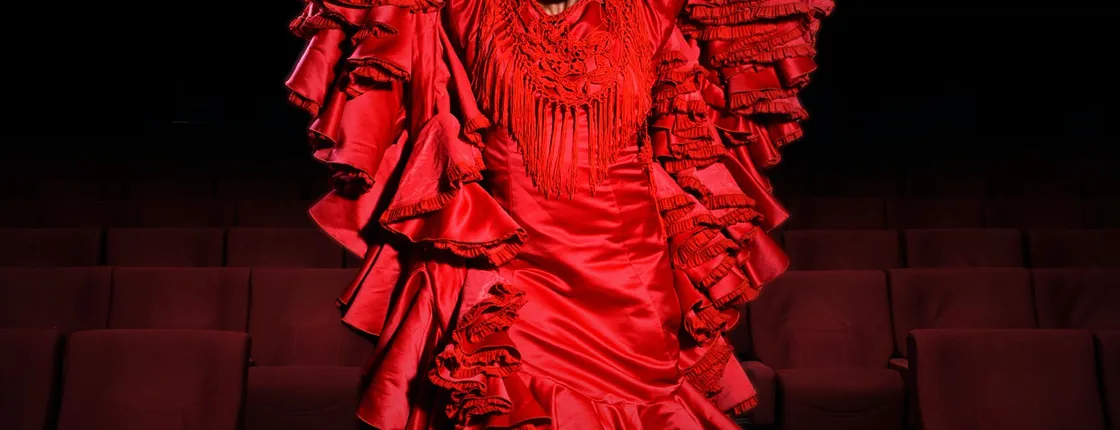 Flamenco Theatre Madrid tickets