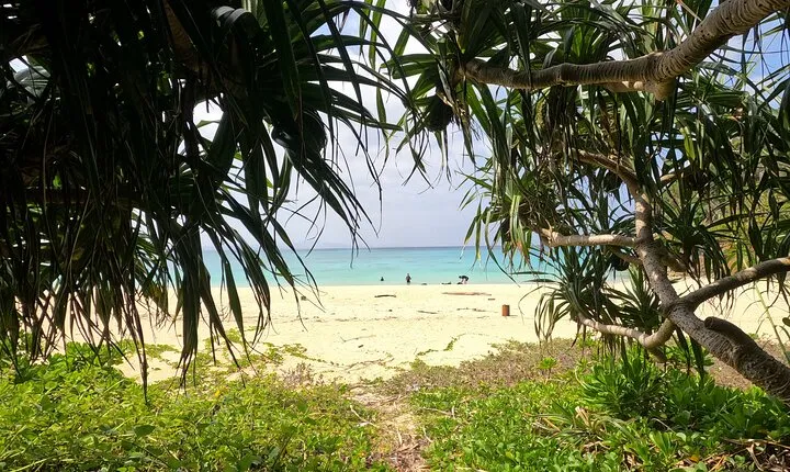 Okinawa's Gorgeous Beach & Snorkel Tour: Private & Customised 