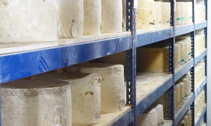 Wells, Cheddar Cheese and Cheddar Gorge - Private Day Trip from Bath