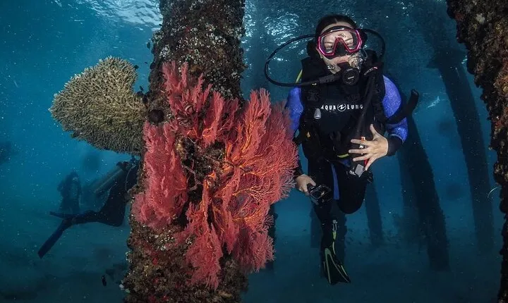 Redang Island Scuba Diving for Beginners