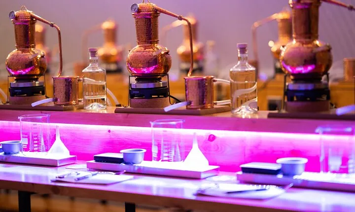 Gin Tasting Masterclass in Aberdeen