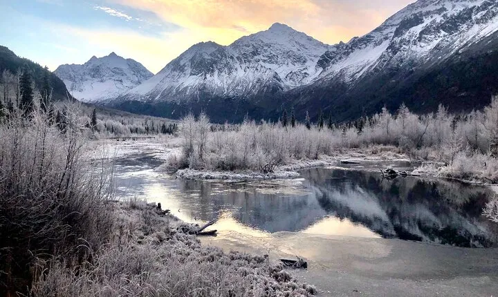 Winter Valley and Forest Hike