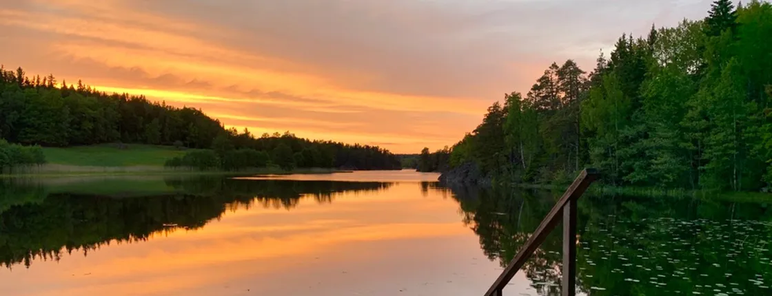 Stockholm: Sunset Hike in Tyresta National Park with Meal