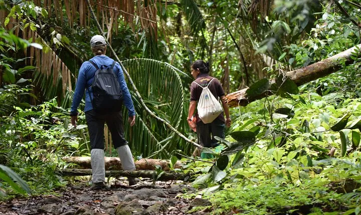 Sinharaja Rain Forest Tour from Hambantota