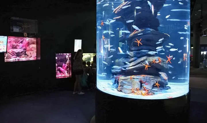 Aquarium de Paris Priority Access Tickets