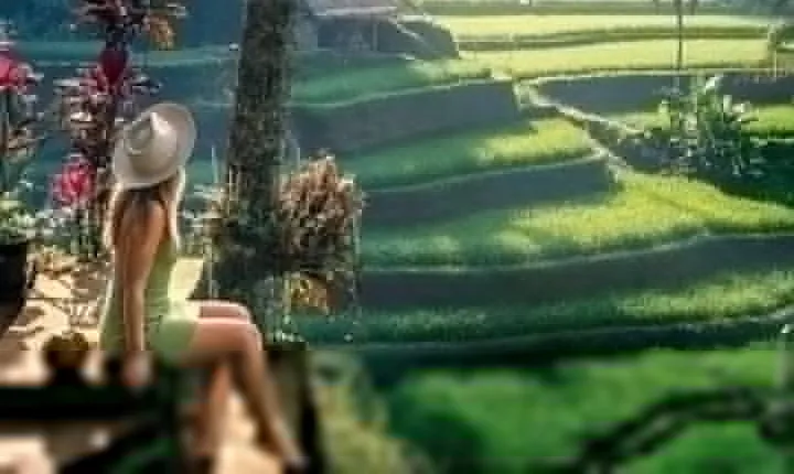 Full Day Private Tour in Ubud Jungle Swing and Waterfalls