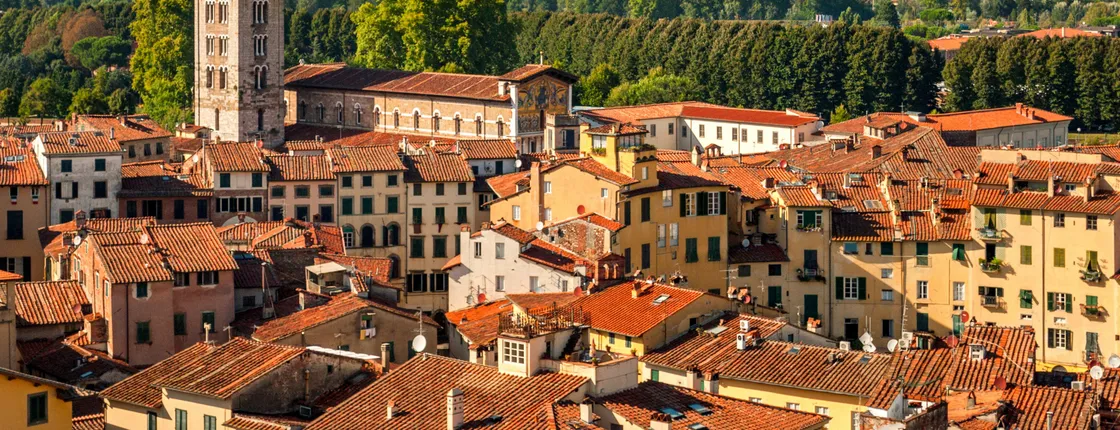 Food and wine tour in the Tuscan countryside from Lucca
