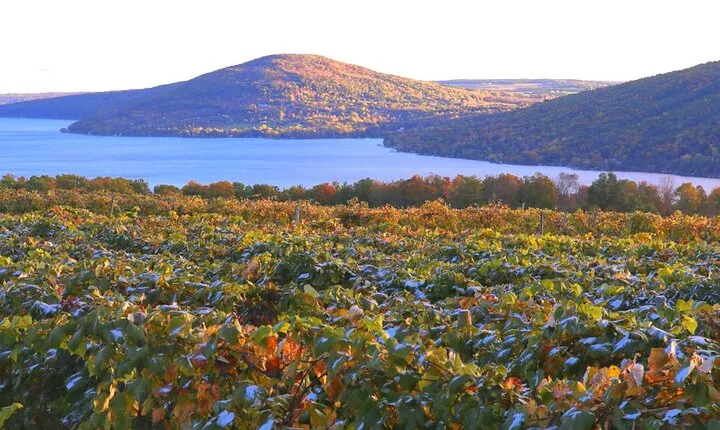 Canandaigua Wine Trail Experience