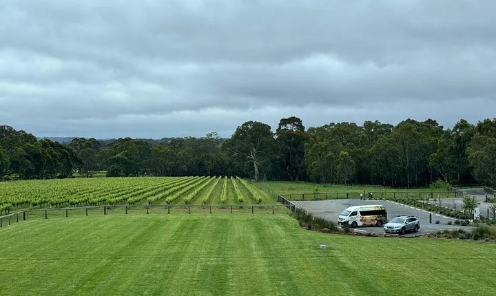 McLaren Vale Tour- Cruise Ship Pickups