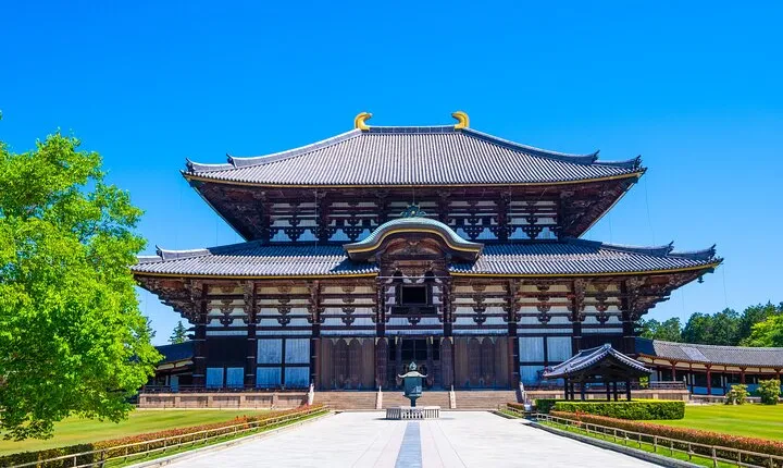 Ancient Capital Tour: Kyoto and Nara Highlights from Kyoto/Osaka