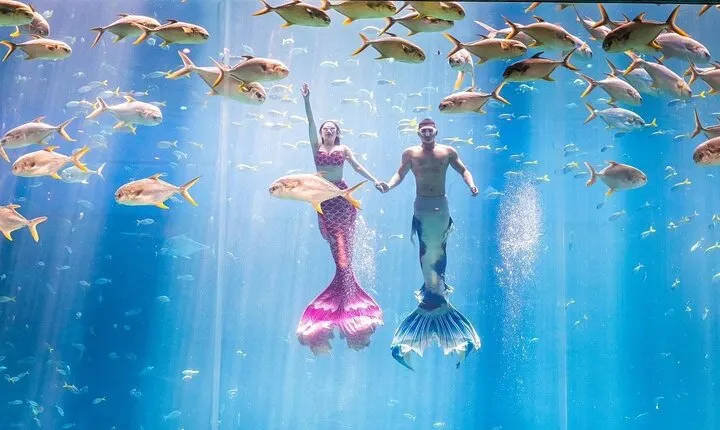 Private Vinwonders And Vinpearl Safari On Phu Quoc Island Tour