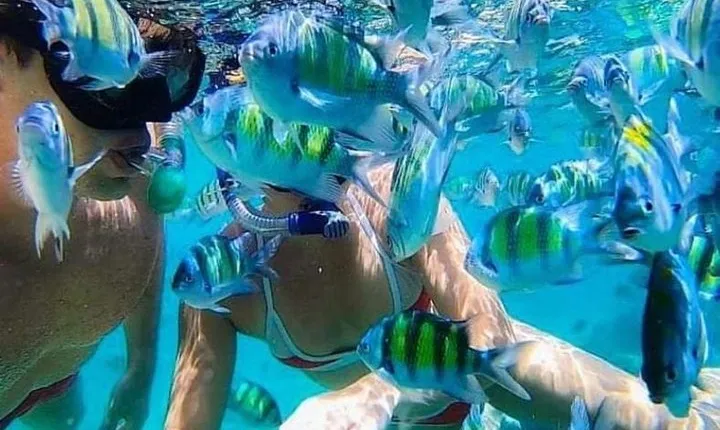 Bali Snorkeling at Blue Lagoon