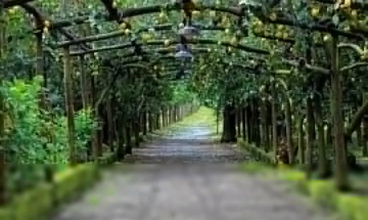Backroads & Limoncello Experience: Sorrento E-Bike Tour