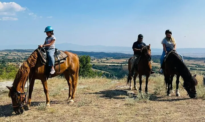 Visit a Farm and Horseback Riding in Nature
