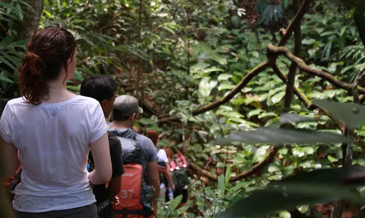 3 Day 2 Nights Jungle in Huay Nam Dung National Park