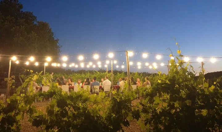 Dinner in the Vineyards
