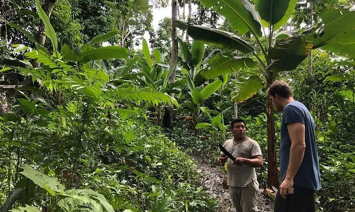 Healing, Treatment with Medicinal Plants 7 Days "Green Wild Amazon Expedition"