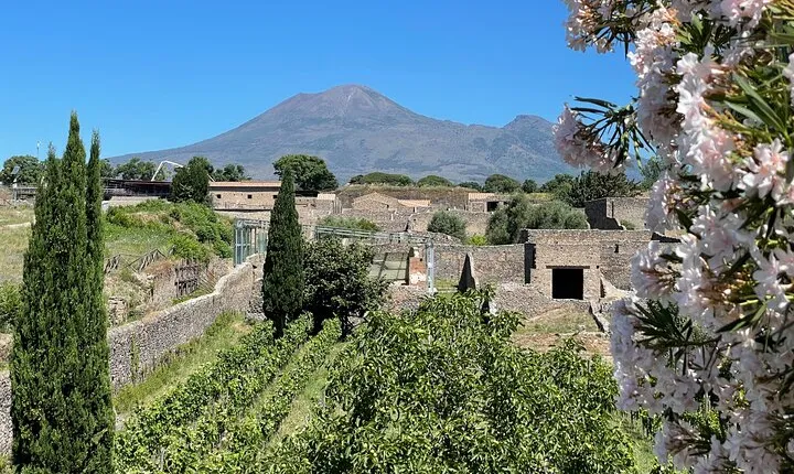 Pompeii Private Tour with Transportation and Archaeologist