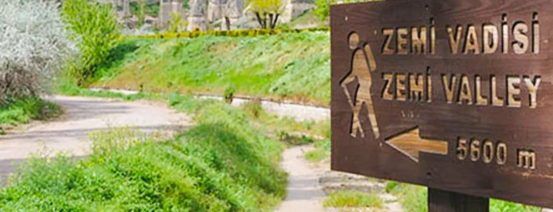 3-hour historical walking tour of charming Zemi Valley