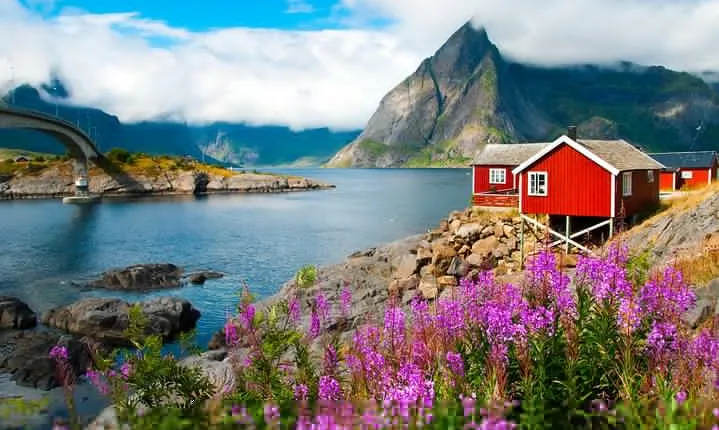 2-Day Lofoten Highlights Photo Tour (Summer)