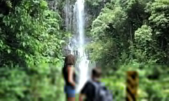 Road to Hana: Full-Day Scenic Drive with Blacksand & Waterfalls
