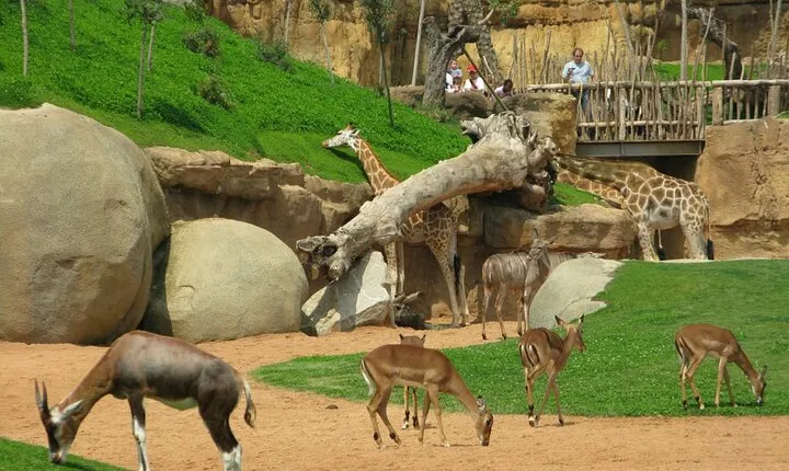 Experience Abuja Tour, All Inclusive